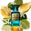 Tom Ford Neroli Portofino woda perfumowana unisex