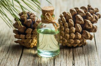 Poznaj zapachy inspirowane naturą – perfumy z nutą sosny, lipy i efektem kąpieli leśnej. Ukojenie zmysłów zamknięte we flakonie