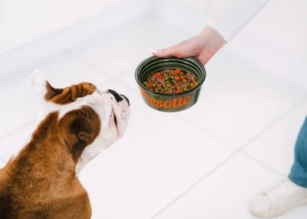 Składniki, które wspierają sierść, zęby i energię psa