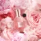 Viktor & Rolf Flowerbomb